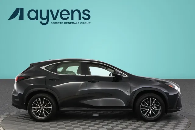 Lexus NX 350h AWD Business 2023, kuva 3/12